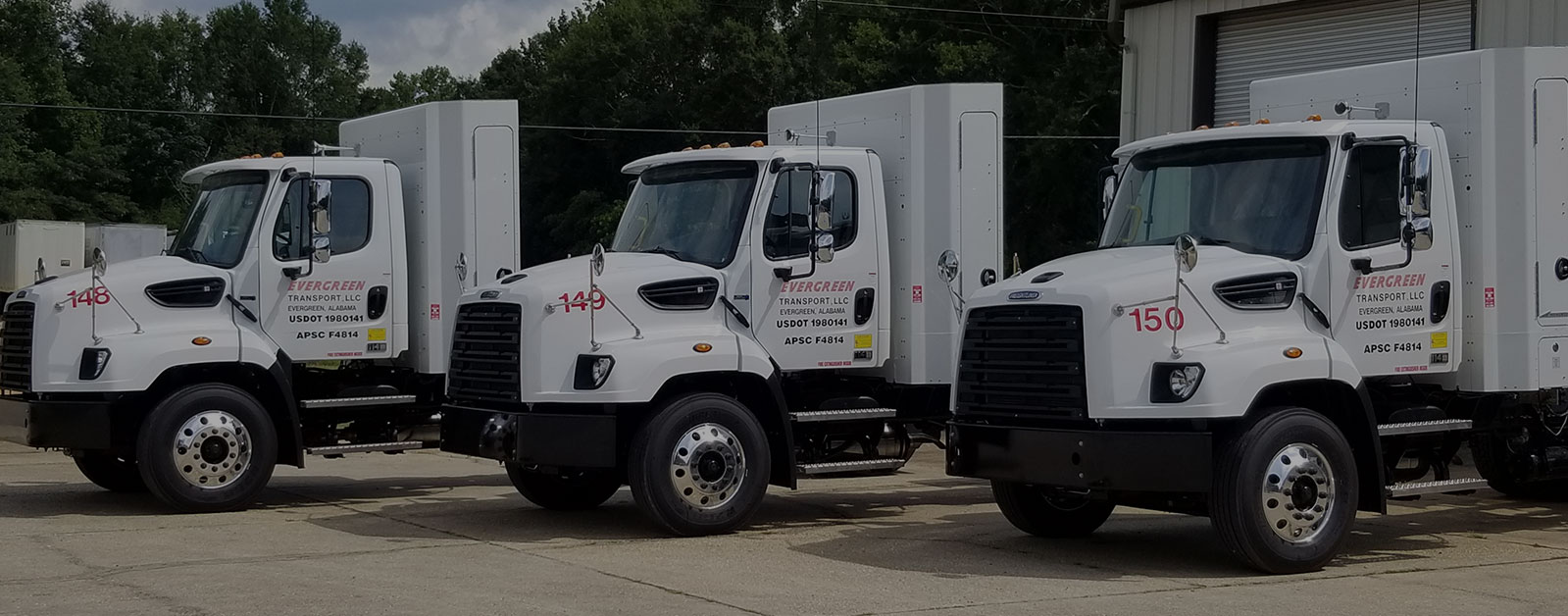 Transport Specialists